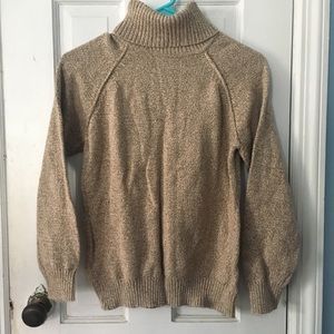 Karen Scott Turtleneck